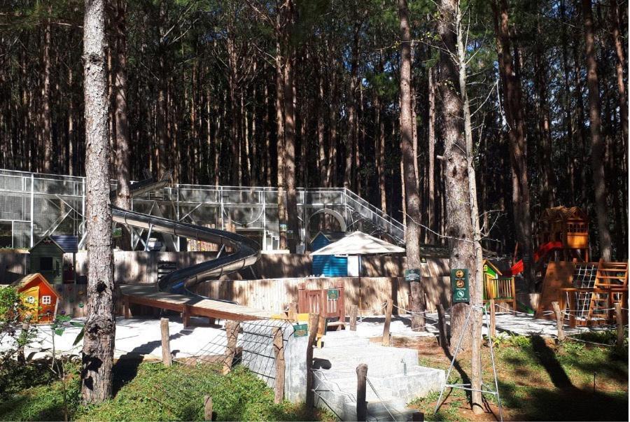 Mo Stay - Forest Resort Da Lat Exterior foto