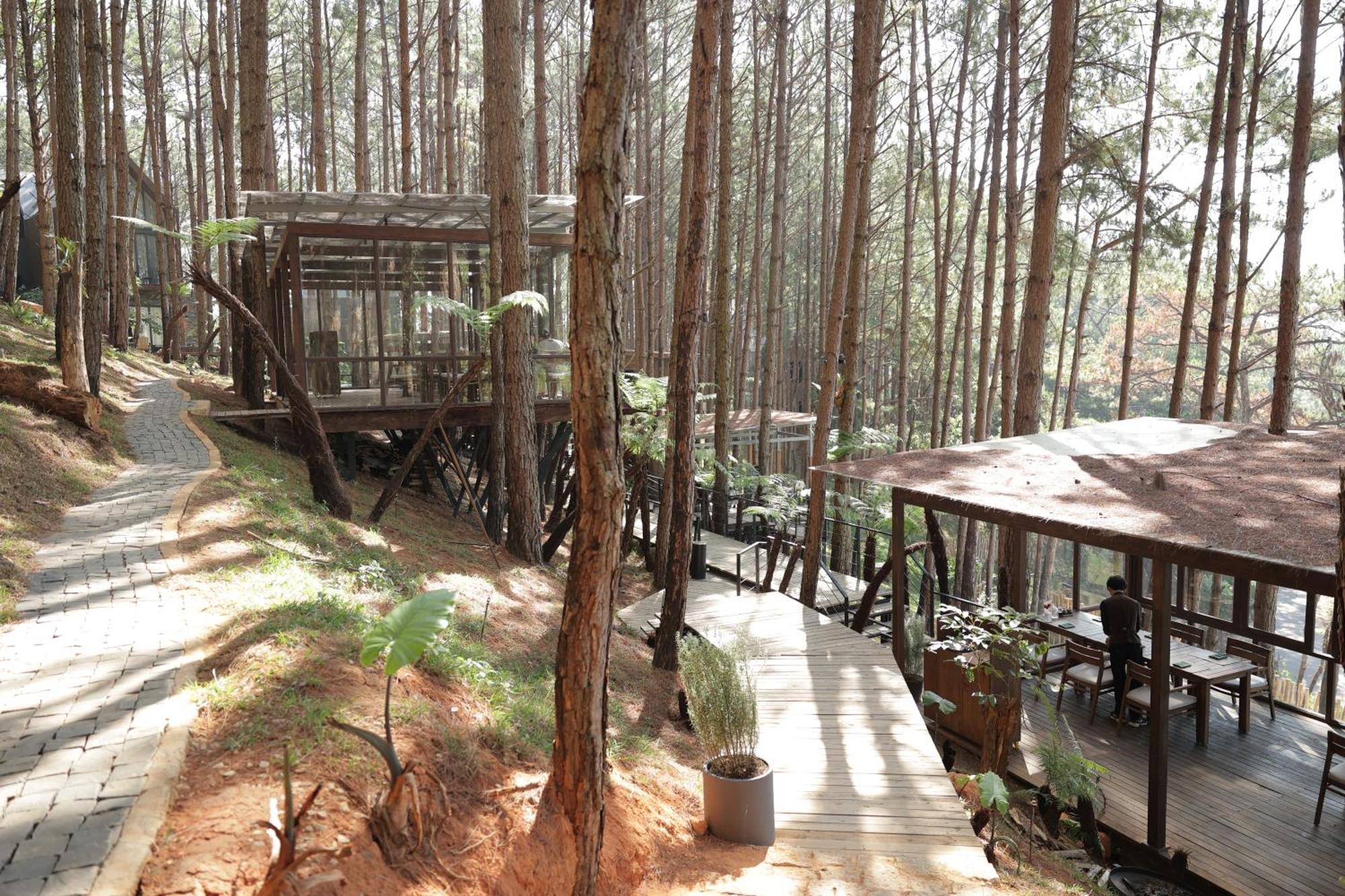 Mo Stay - Forest Resort Da Lat Exterior foto