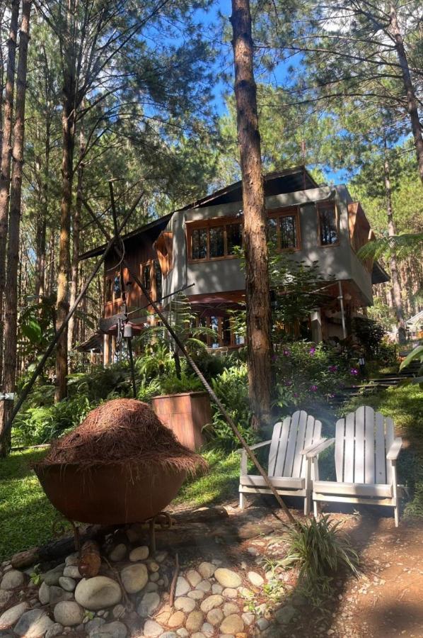 Mo Stay - Forest Resort Da Lat Exterior foto