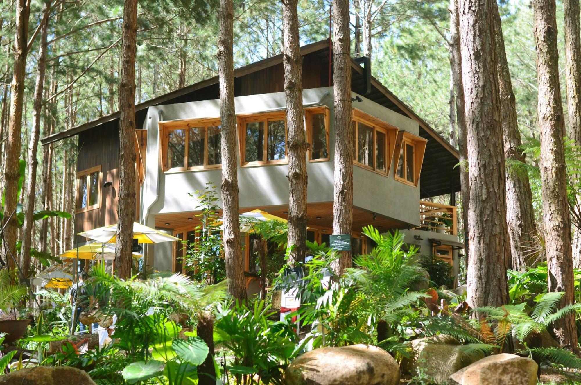 Mo Stay - Forest Resort Da Lat Exterior foto